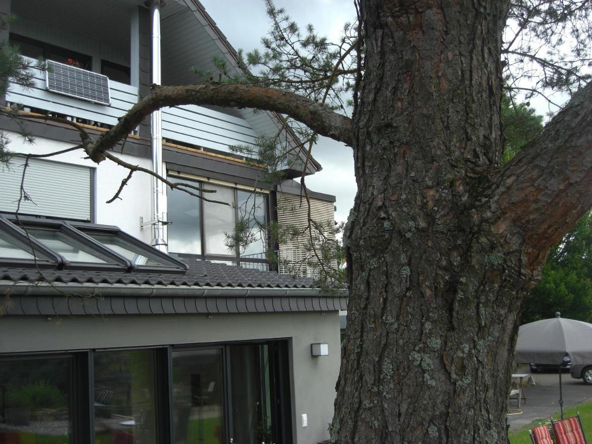 Ferienwohnung Alter Weinberg Saarburg Zewnętrze zdjęcie