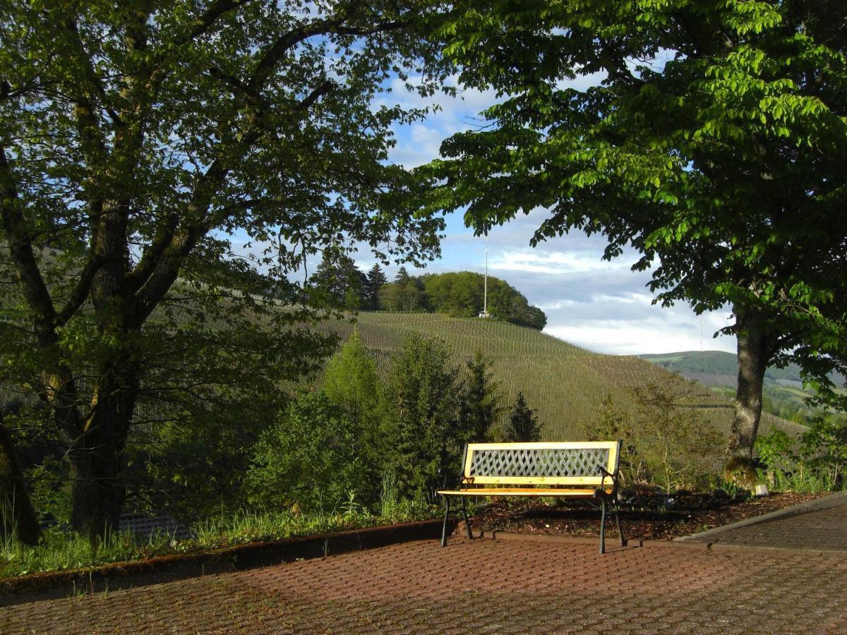 Ferienwohnung Alter Weinberg Saarburg Zewnętrze zdjęcie